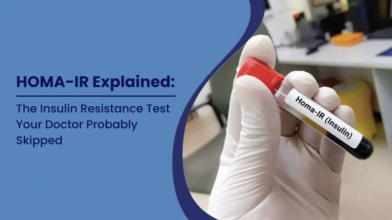 HOMA-IR Explained: The Insulin Resistance Test Your Doctor Probably Skipped