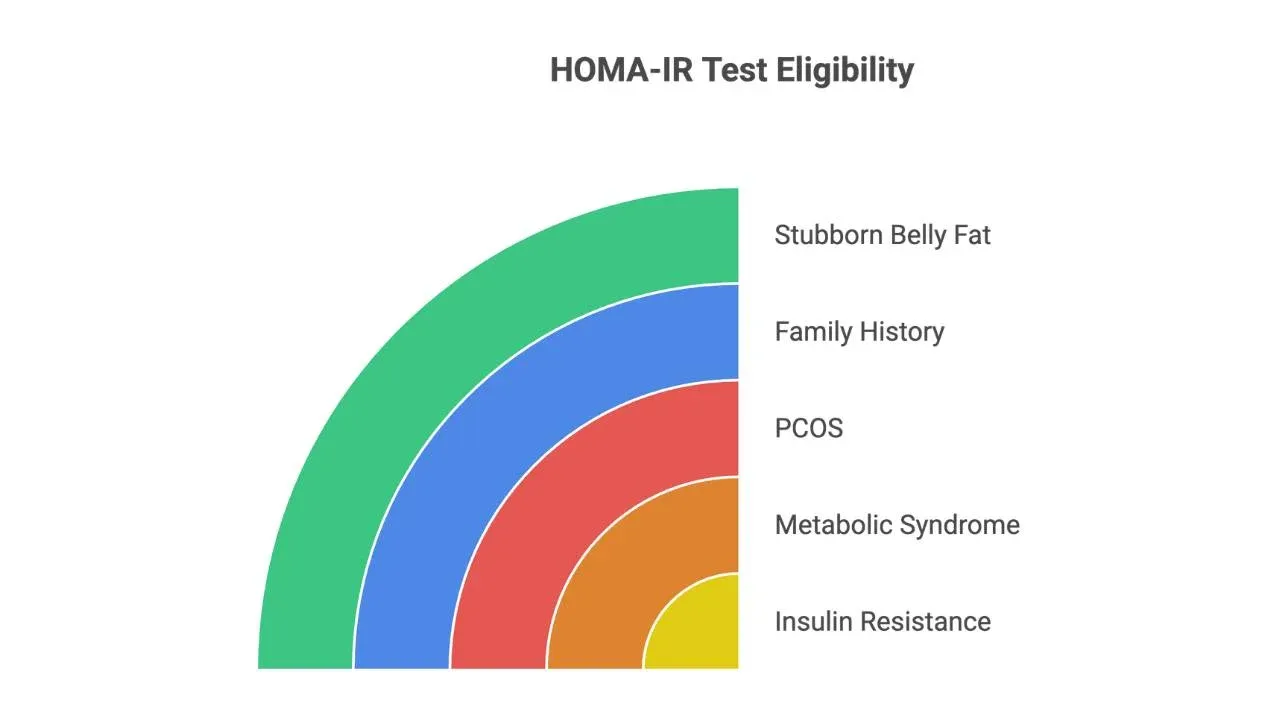 Who Should Get a HOMA IR Test